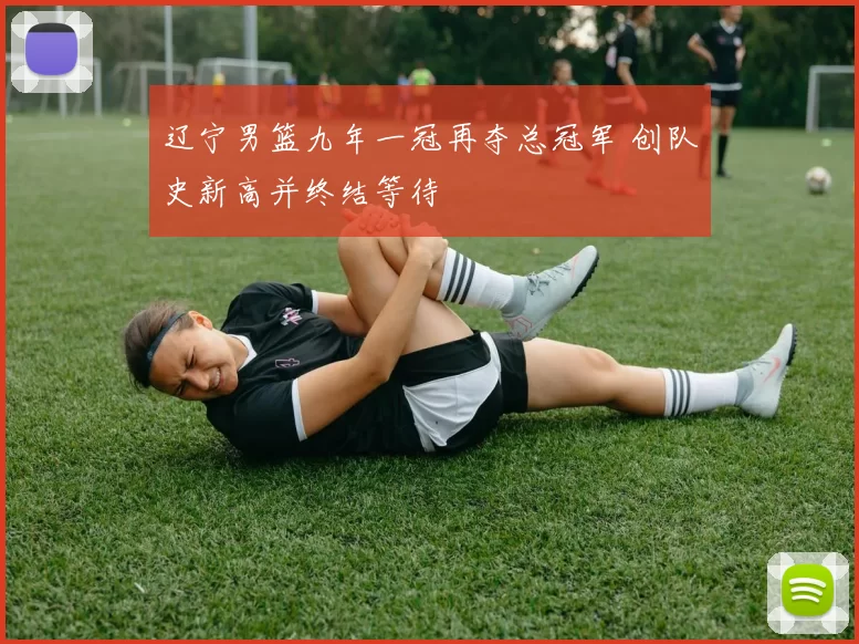 辽宁男篮九年一冠再夺总冠军 创队史新高并终结等待