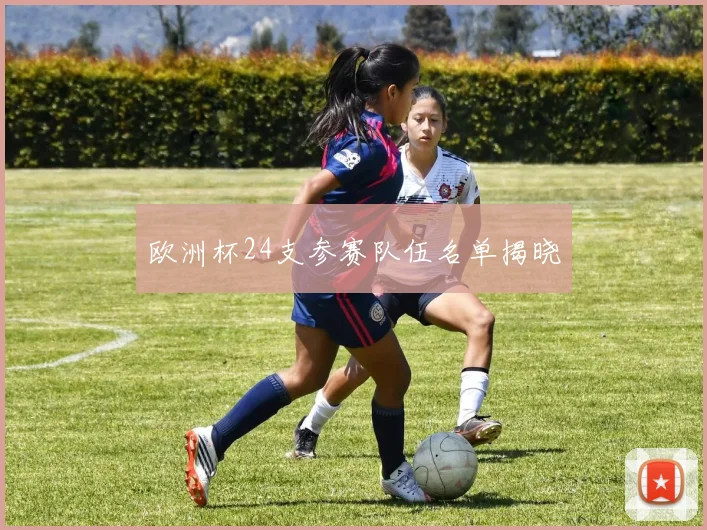 欧洲杯24支参赛队伍名单揭晓