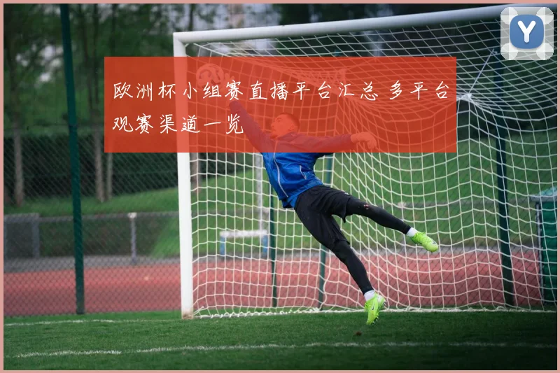 欧洲杯小组赛直播平台汇总 多平台观赛渠道一览