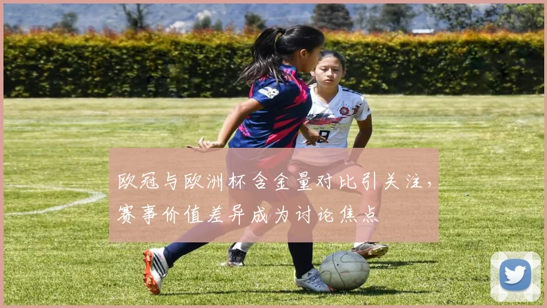 欧冠与欧洲杯含金量对比引关注，赛事价值差异成为讨论焦点